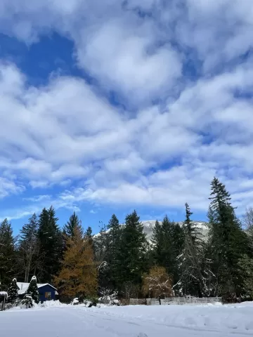 winter in Port Alberni BC