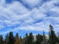 winter in Port Alberni BC