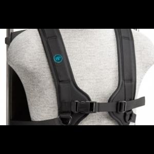 male chest harness